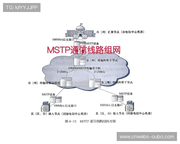 信号接入环节扩展至多协议兼容，适配专业摄像机与移动端多元输入